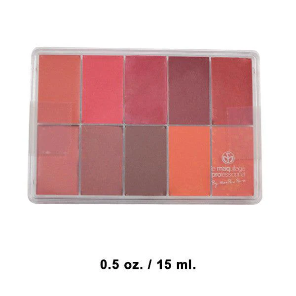 MAQ ProMaqpro Lip and Rouge Palette PP18