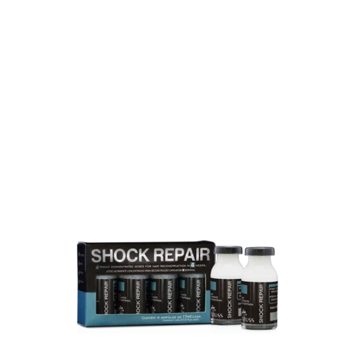 Shock Repair