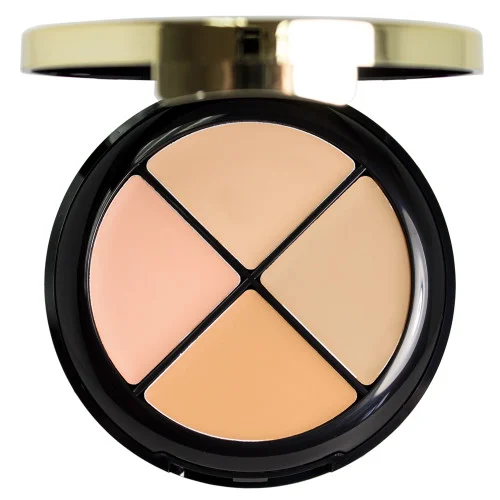 Milani Conceal + Perfect All-in-One Concealer Kit