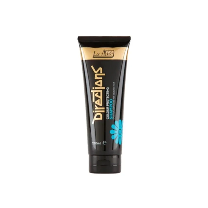 La Riche Directions Colour Protecting Shampoo 250ml – Beauty Outlet
