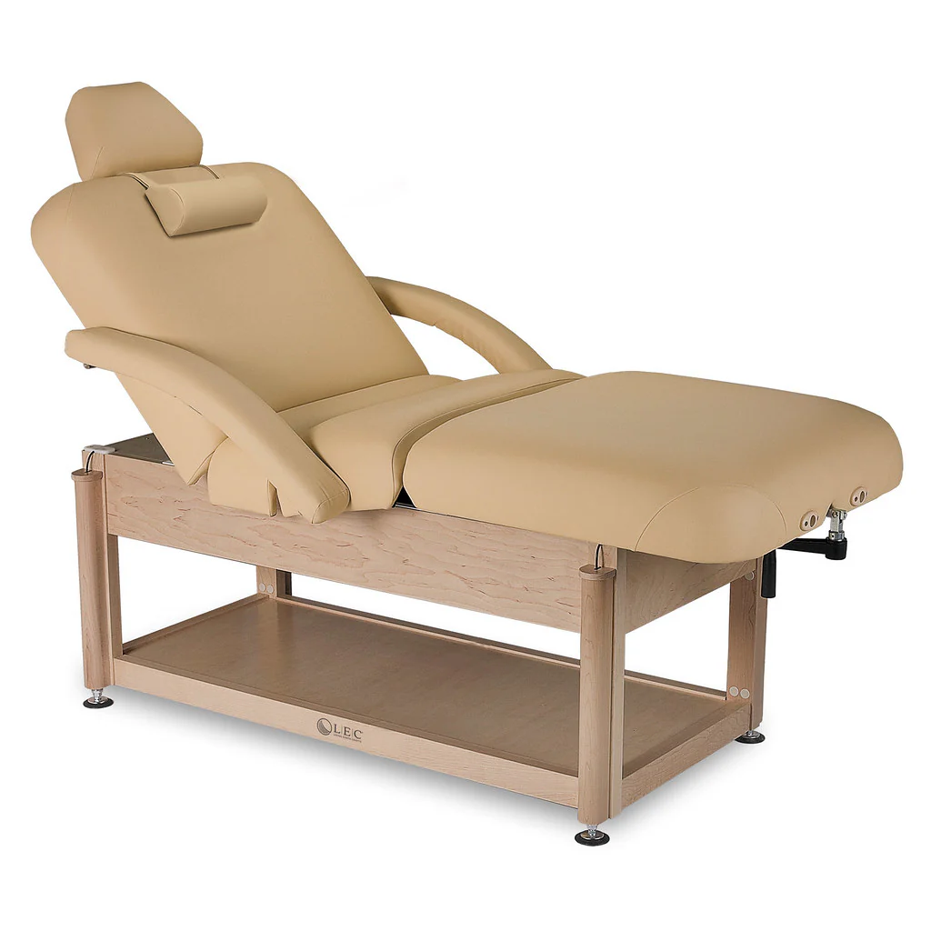 Living Earth Crafts Napa Salon PowerAssist Treatment Table with Shelf Base