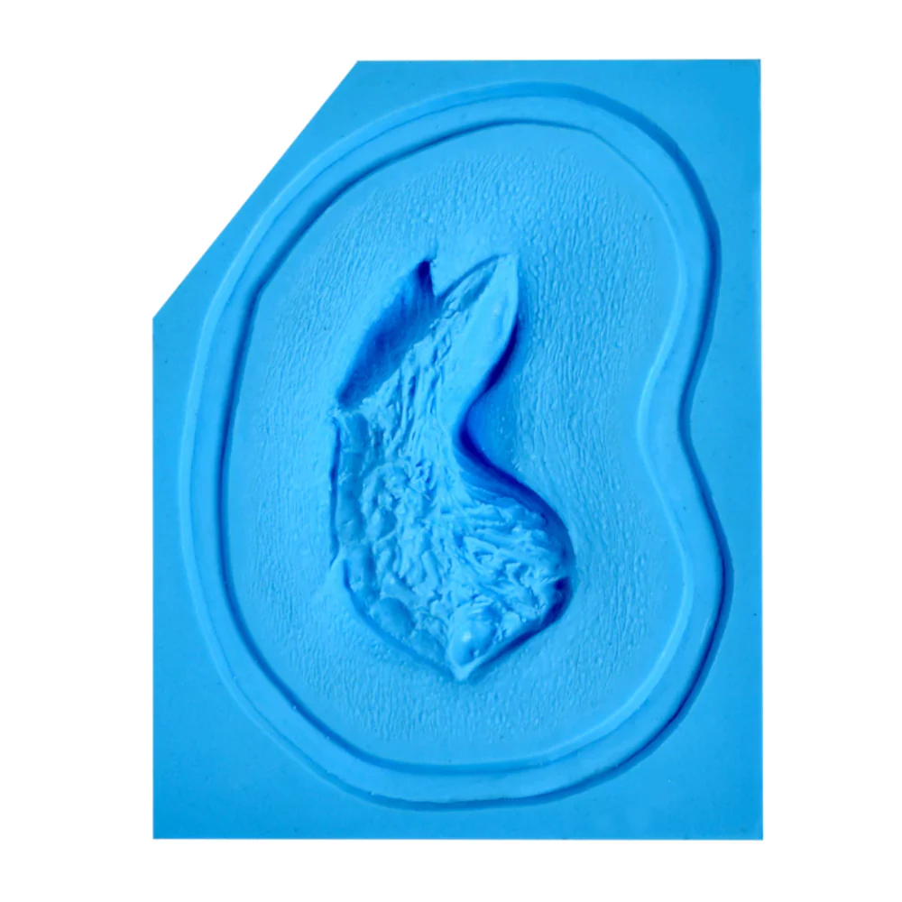 P.T.M. Platinum Silicone Hi-Ro Slip Molds Large Avulsion