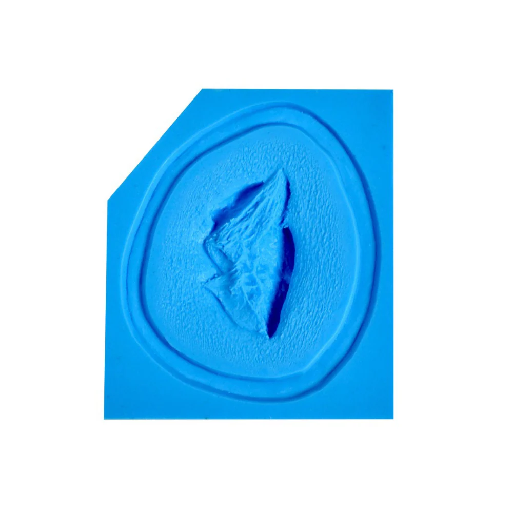 P.T.M. Platinum Silicone Hi-Ro Slip Molds Medium Avulsion