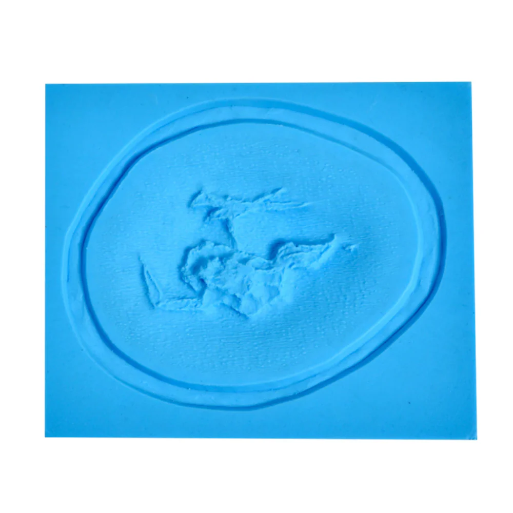 P.T.M. Platinum Silicone Hi-Ro Slip Molds Ruptured Exit Wound Mold