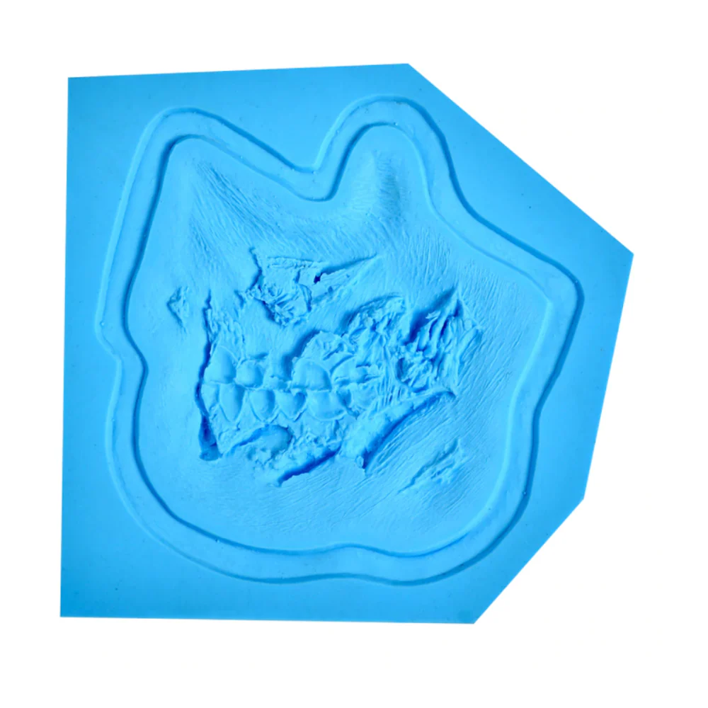 P.T.M. Platinum Silicone Hi-Ro Slip Molds Zombie Right Cheek