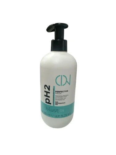 PH2 Perfector Mask